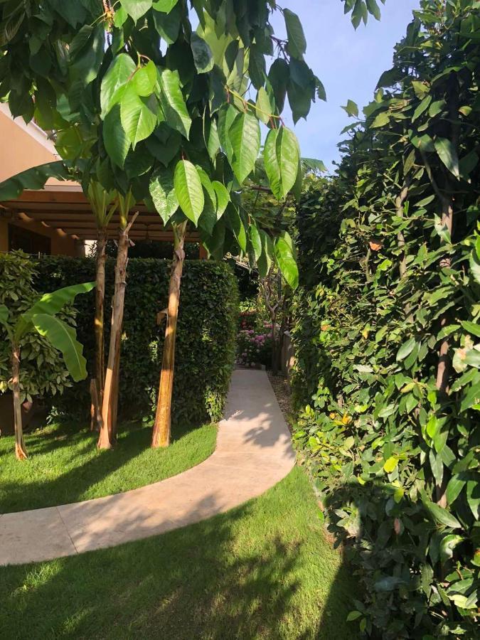 Villa Dolores 罗维尼 外观 照片